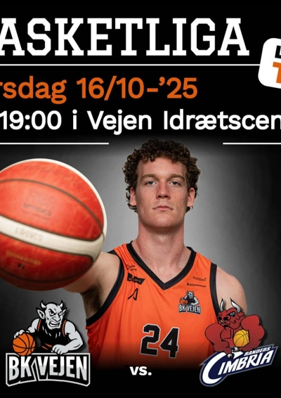 Vejen basket